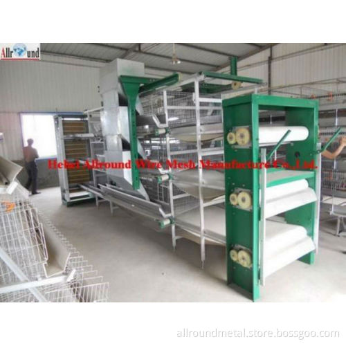 cages laying hens for chicken sheds
